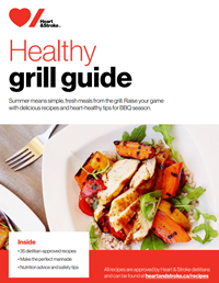 Healthy grill guide cover