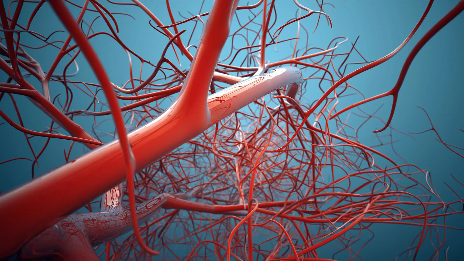 Magnified vascular system showing red veins on a blue background.