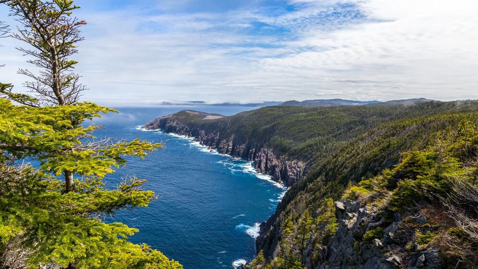 <p>East Coast Trail</p>
<p> </p>