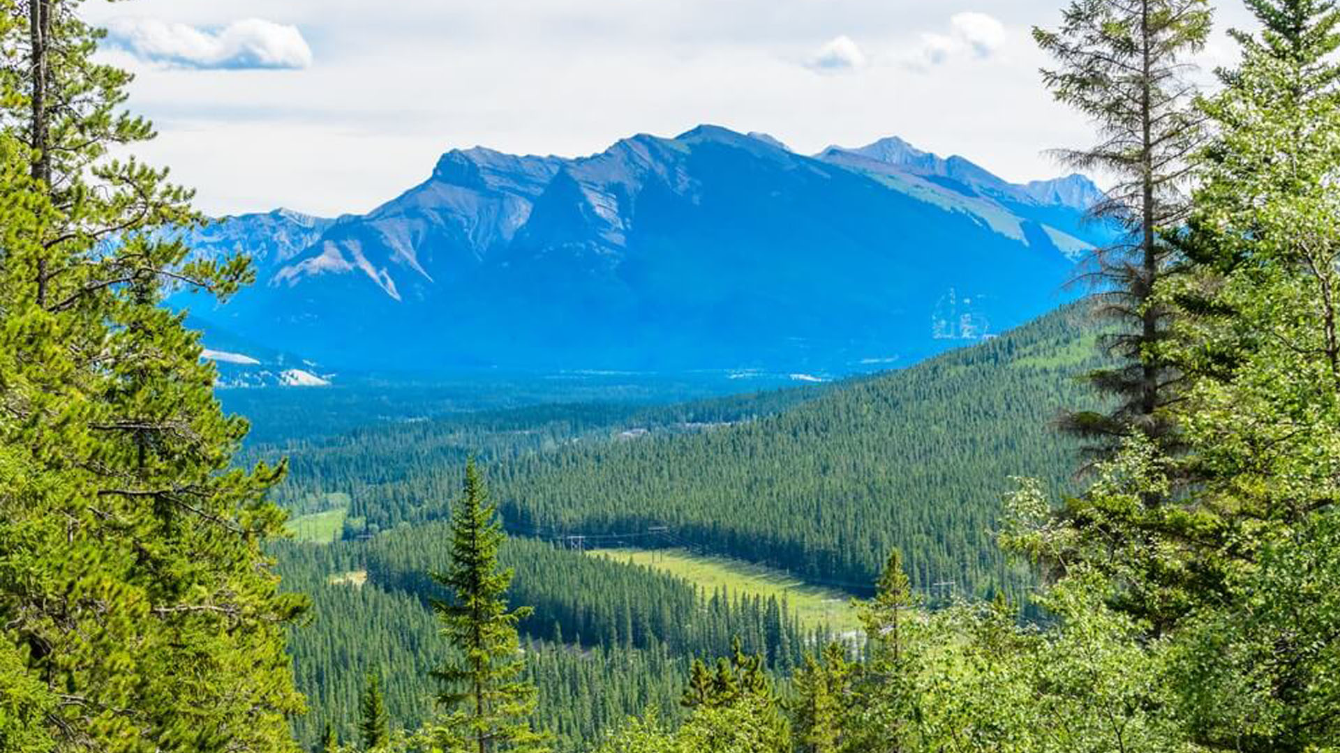 <p>Grassi Lakes Trail</p>
<p> </p>