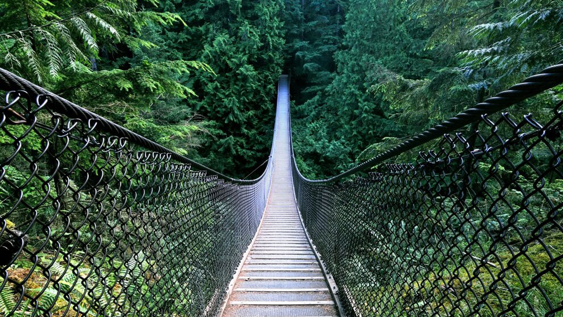 <p>Lynn Canyon Park</p>
<p> </p>