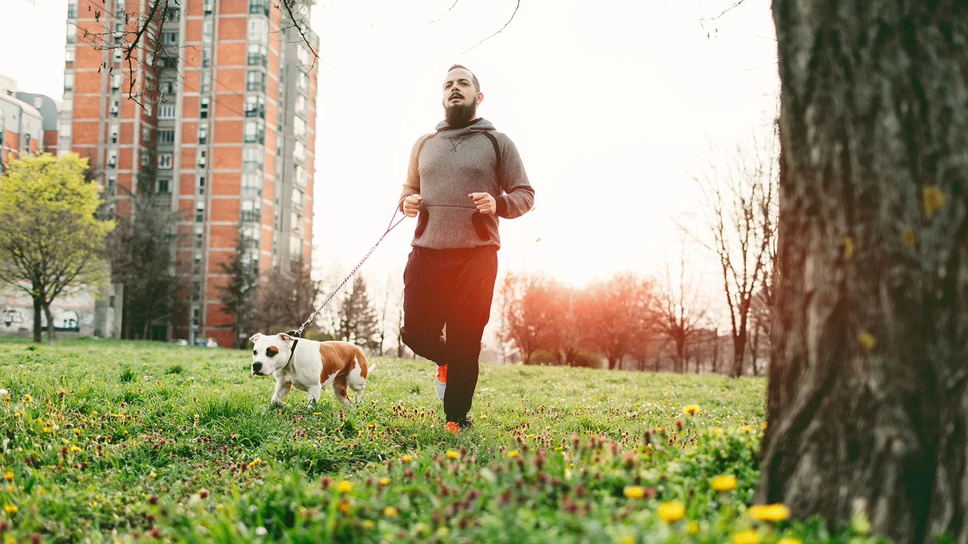 man jogging with his dog in park