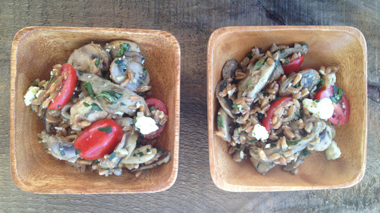 Two square bowls of farro and mushroom salad