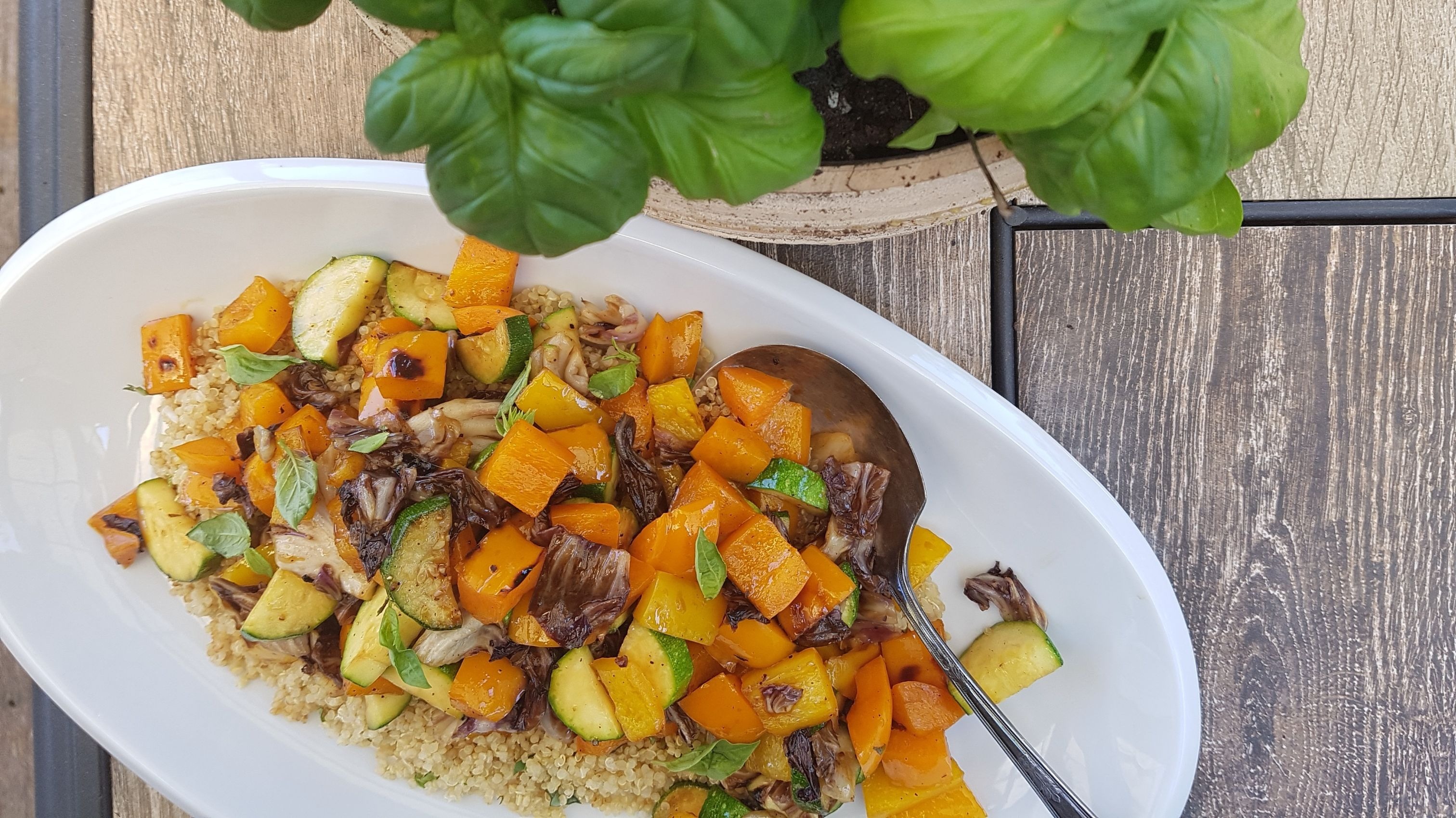 Grilled veggie and grain platter