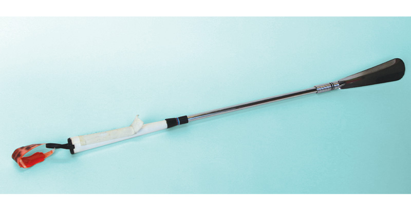 <p>Long-handled shoe horn</p> <p>Long-handled shoe horn</p>