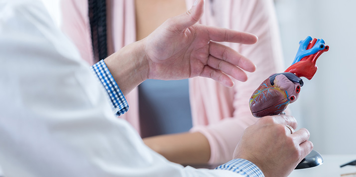 A doctor talking with a patient while showing a model of the heart.