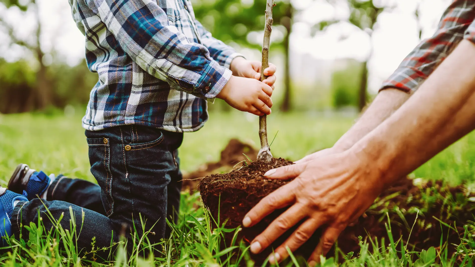 Adult and child planting a small tree