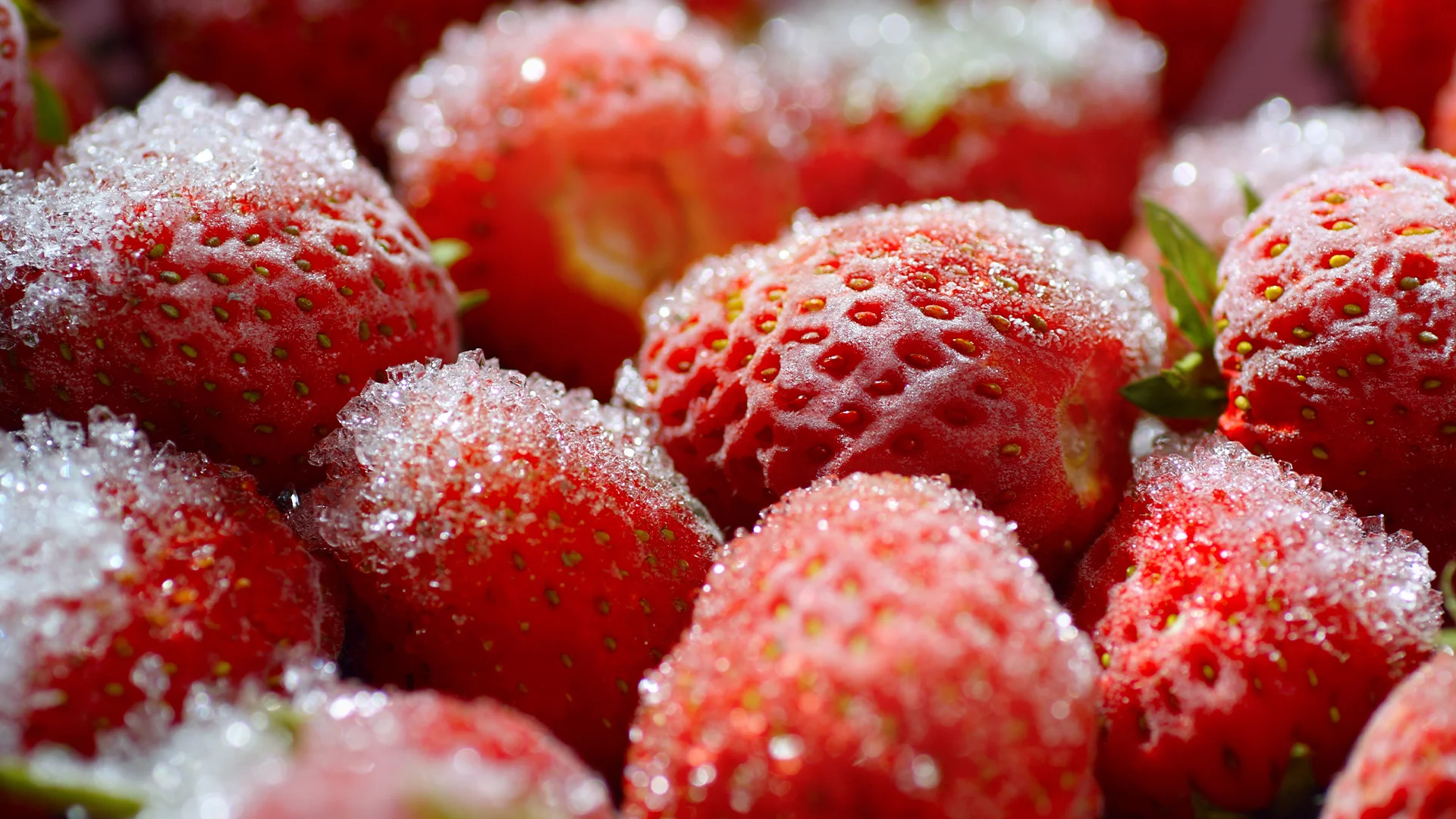 Frozen strawberries in a white bowl