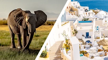 A split screen with one half showing an elephant in a grassland and the other showing a tropical resort.