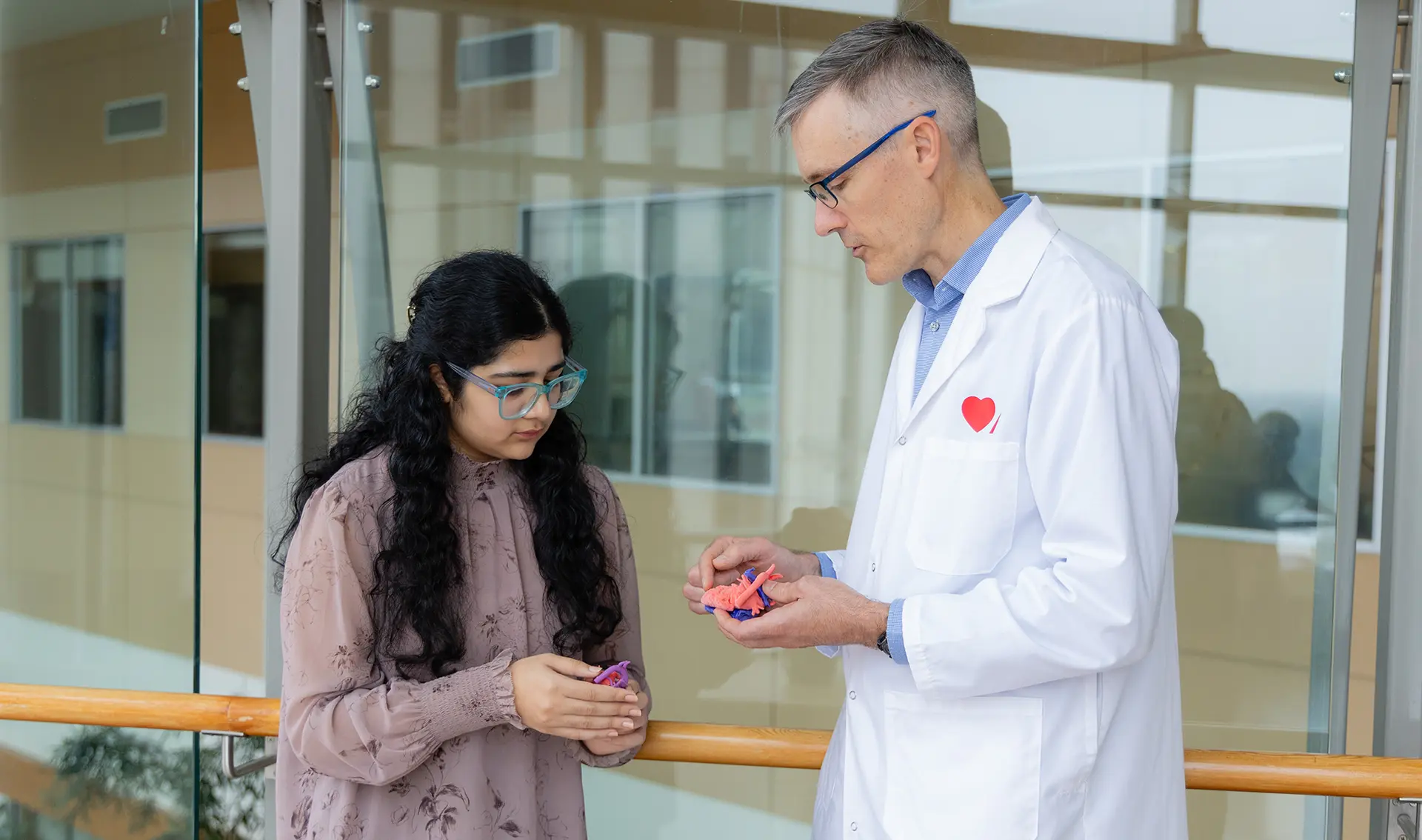 Dr. Andrew Mackie shows a model of a heart to Haima Kapoor, a person living with congenital heart disease.