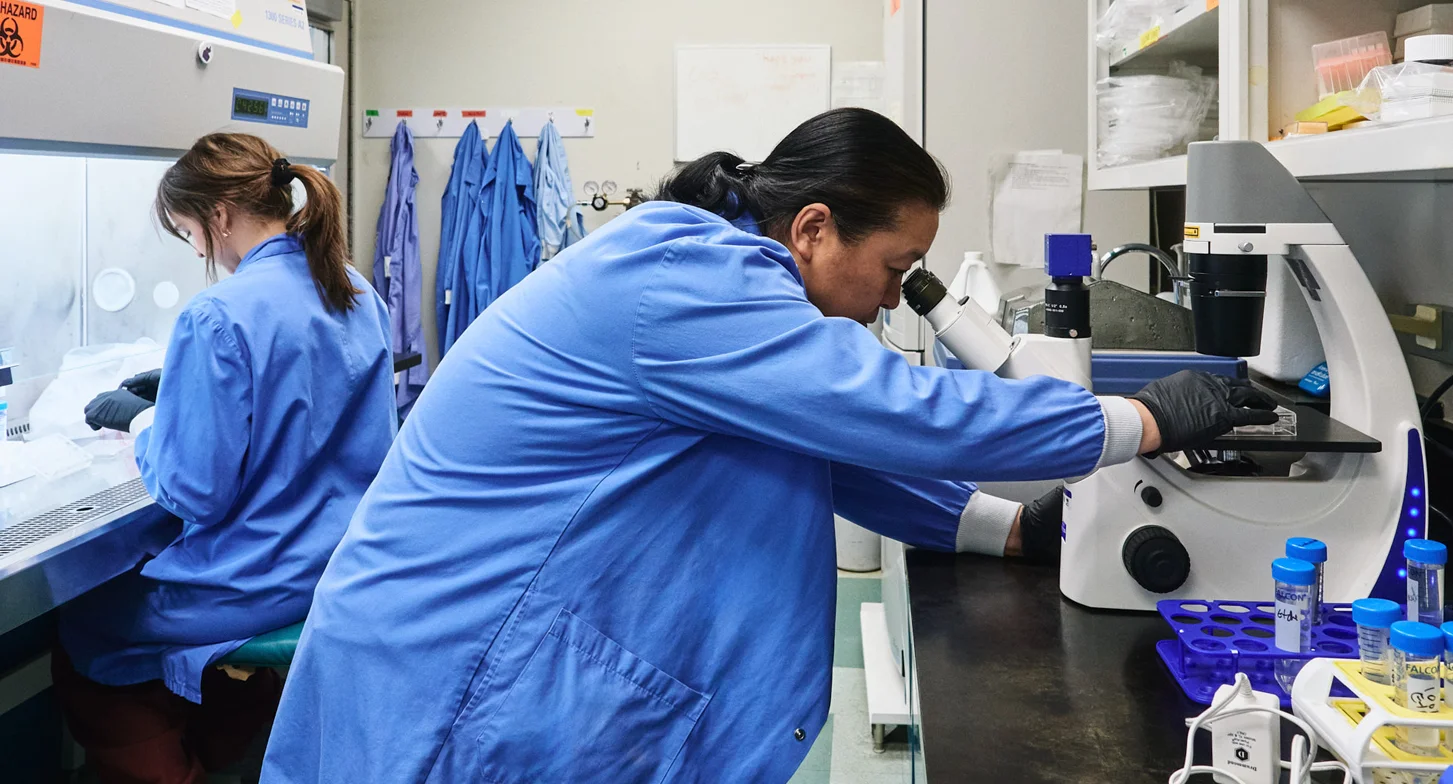 Dr. Jing Wang looking through a microscope