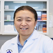 Dr. Jing Wang, Heart & Stroke researcher
